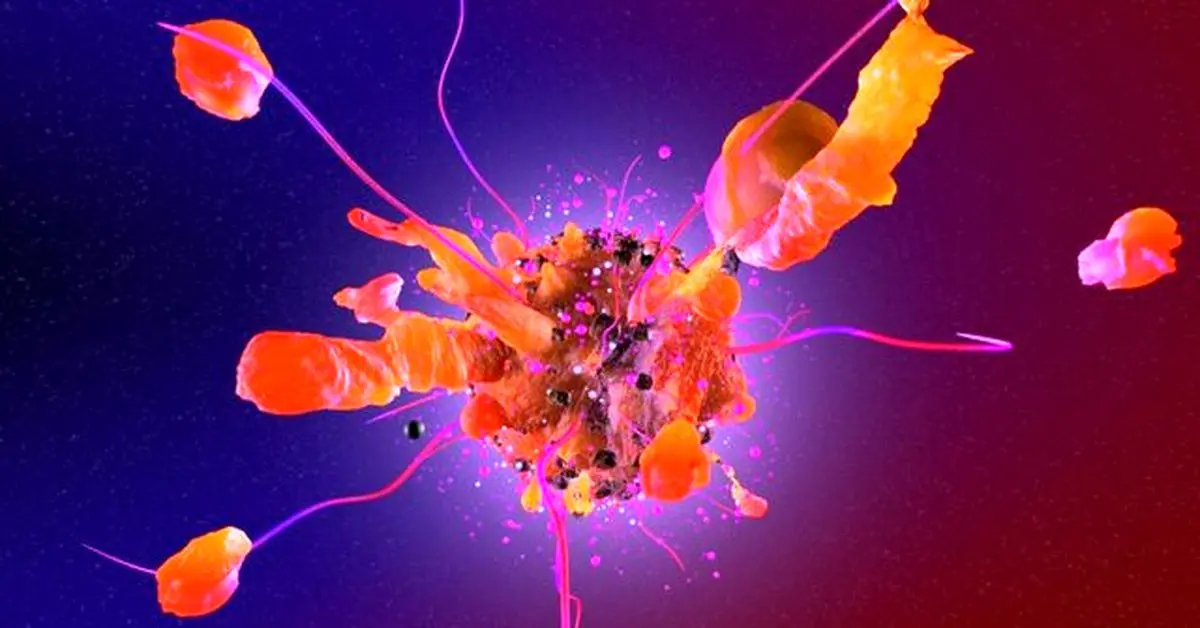 امکان درمان سرطان با فلزی متعلق به عصر دایناسورها