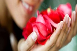 تاثیر بو کردن گل سرخ و یاس در کاهش استرس