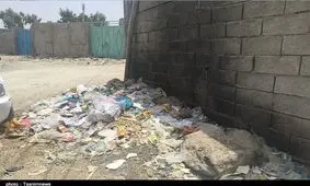 ‌‌۵۶ هزار حاشیه‌نشین چابهاری در خطر اپیدمی فراگیر تب دانگ+تصاویر‌