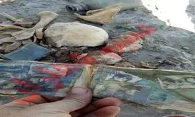 پیکر شهید دوران دفاع مقدس به همراه قمقمه پر آب در دهلران پیدا شد+تصویر