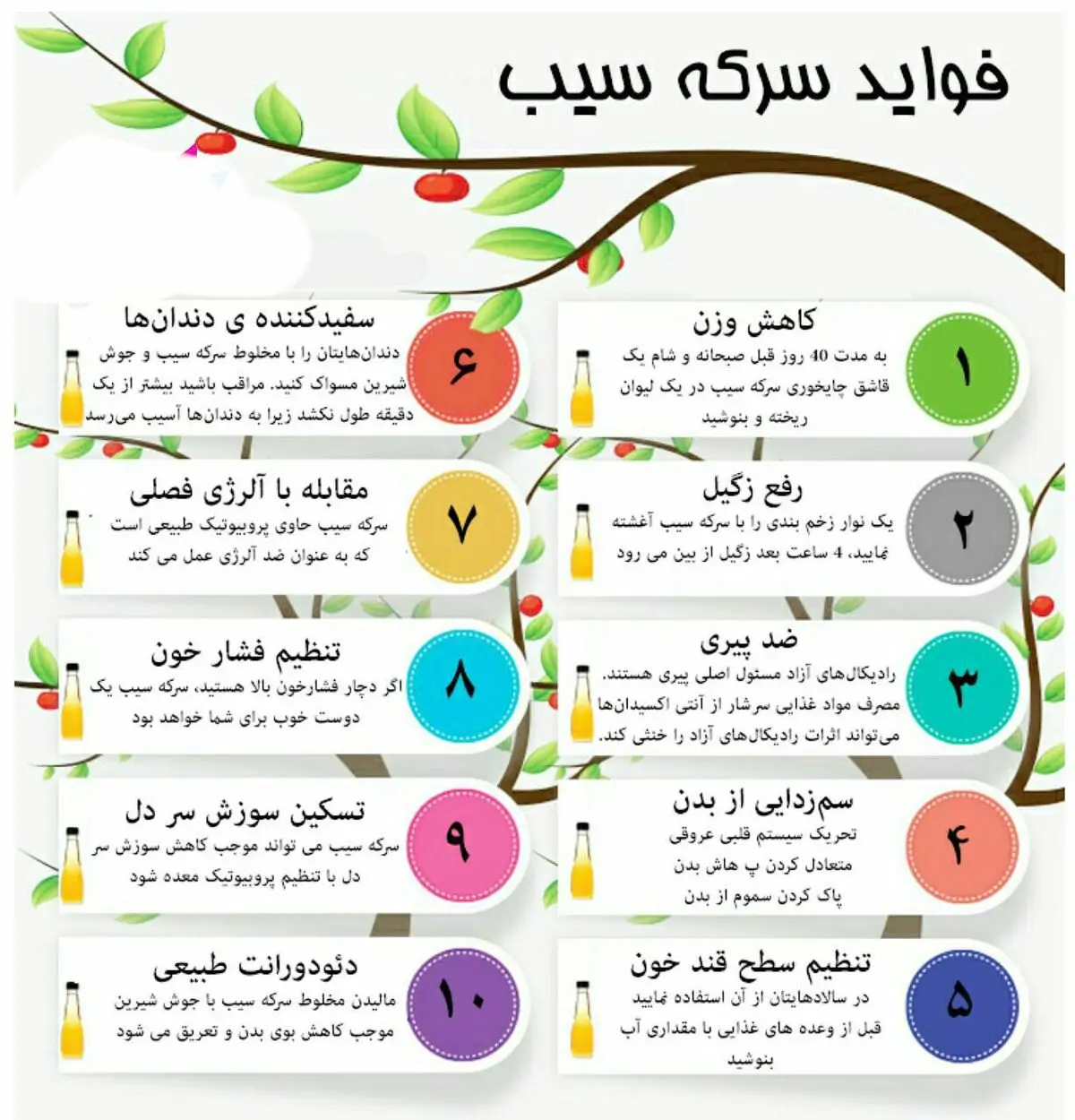ده ترفنـــــد و کاربرد بی نظیر و مفید با سرکه سیب