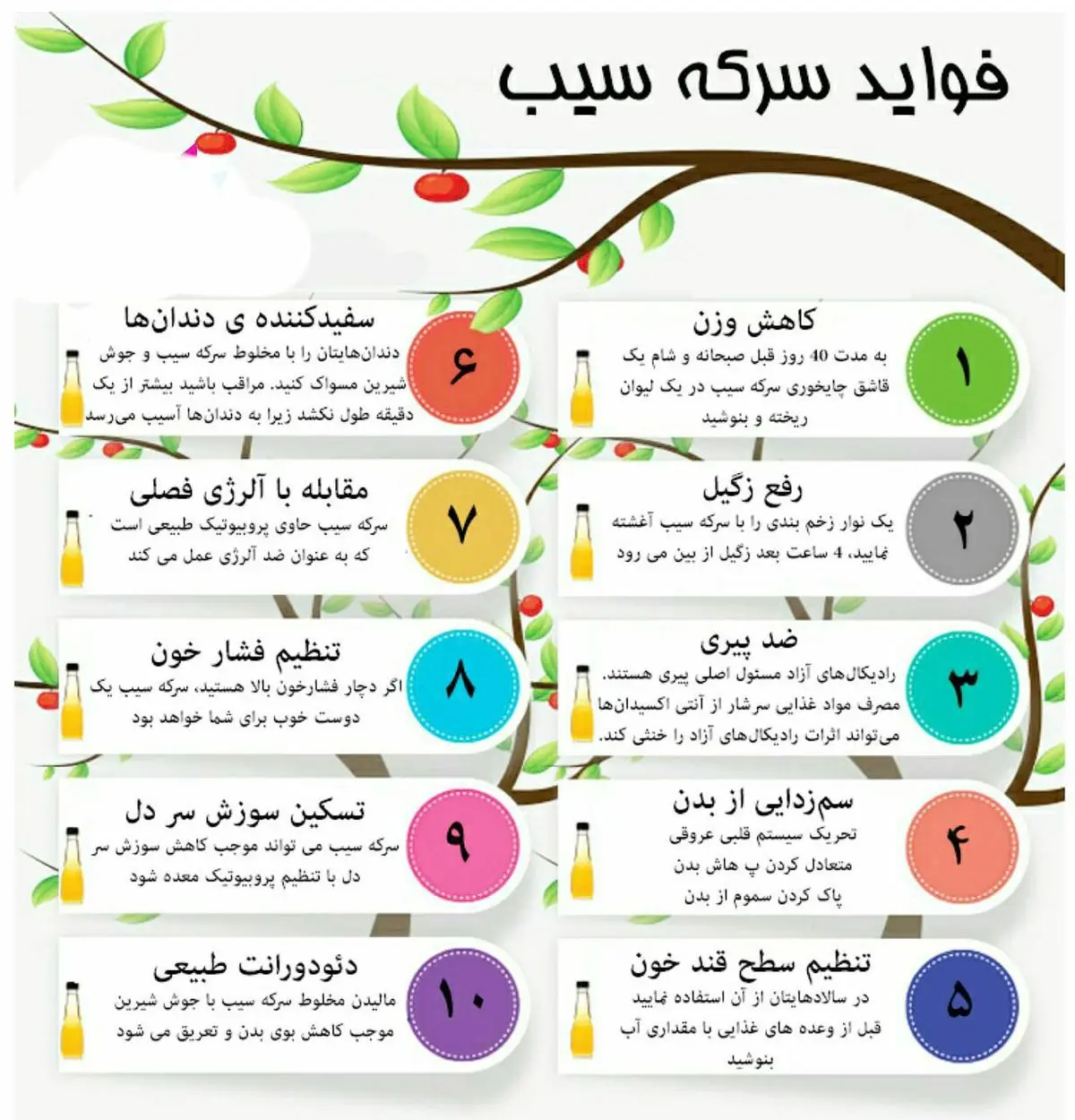 ده ترفنـــــد و کاربرد بی نظیر و مفید با سرکه سیب