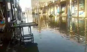 بازار یا دریاچه+ فیلم