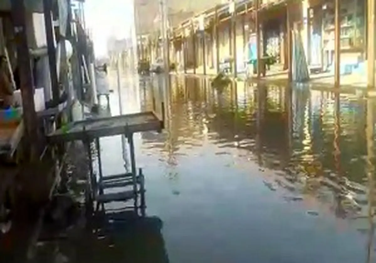 بازار یا دریاچه+ فیلم