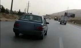 حمل گوساله با پراید! + فیلم