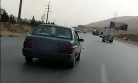 حمل گوساله با پراید! + فیلم
