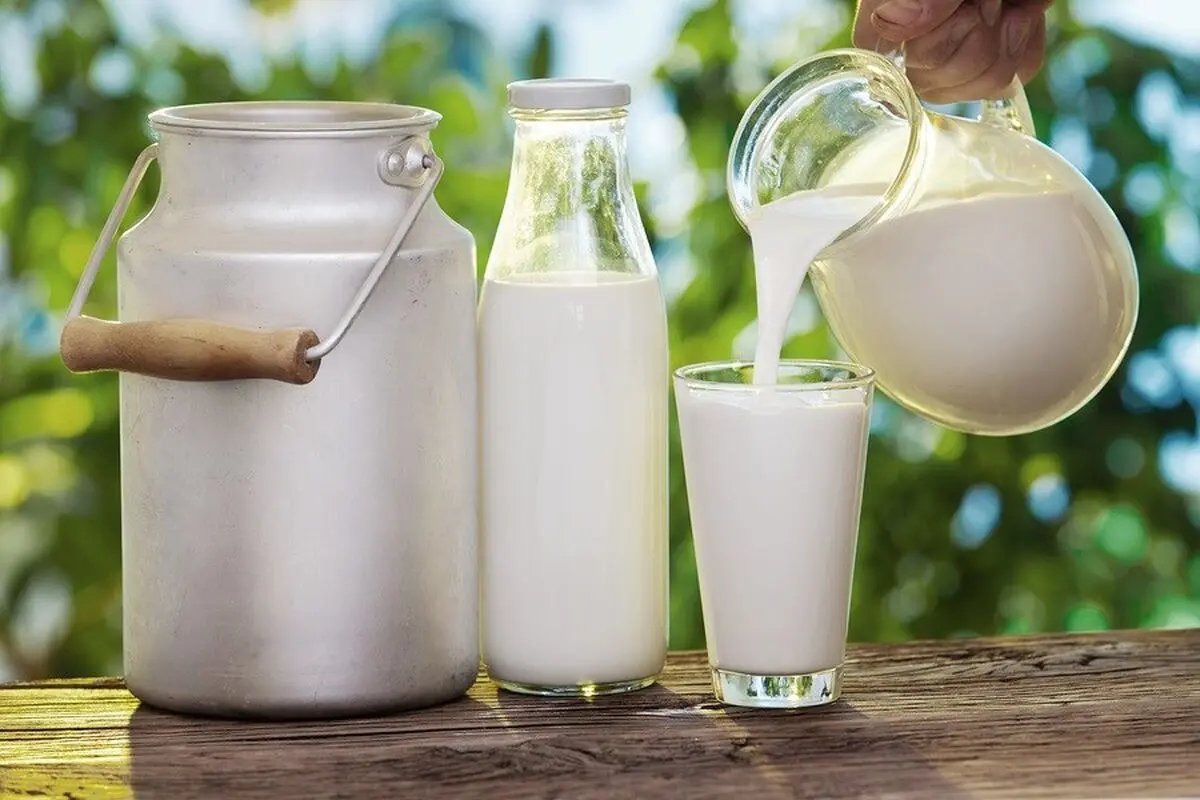 فواید شیر و ماهی از دیدگاه امام هشتم شیعیان(ع)