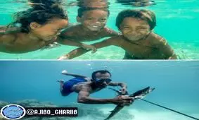 مهارت عجیب غواصی مردم باجائو