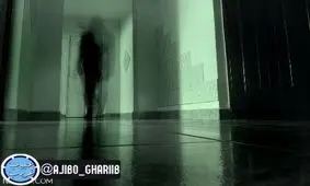 فعالیت شبانه ارواح و علت آن