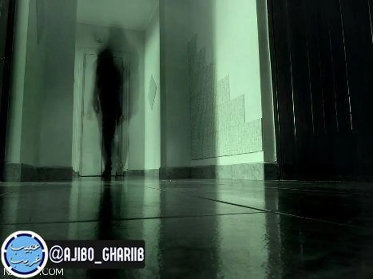 فعالیت شبانه ارواح و علت آن