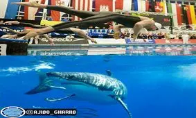 الگوبرداری لباس غواصان از کوسه ها