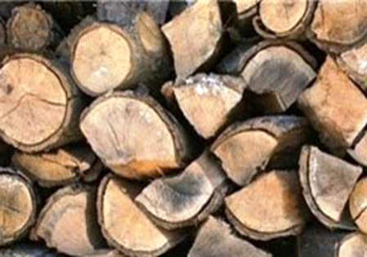 کشف چوب آلات جنگلی در زیر جعبههای مرکبات
