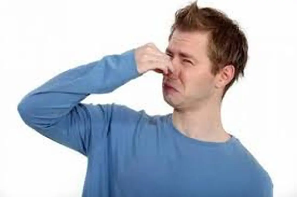 غذا‌هایی که جلوی بدبو شدن بدن را می‌گیرند