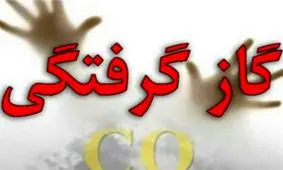 مرگ خاموش نوجوان روستایی در سمیرم