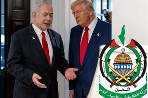 تحلیلی بر پاسخ هوشمندانه حماس و رضایت سریع ترامپ/ گویا فلسطینی ها هم رگ خواب رئیس جمهور آمریکا را پیدا کرده اند!