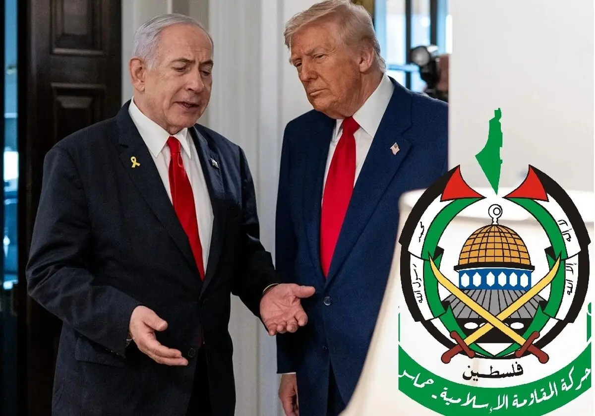 تحلیلی بر پاسخ هوشمندانه حماس و رضایت سریع ترامپ/ گویا فلسطینی ها هم رگ خواب رئیس جمهور آمریکا را پیدا کرده اند!