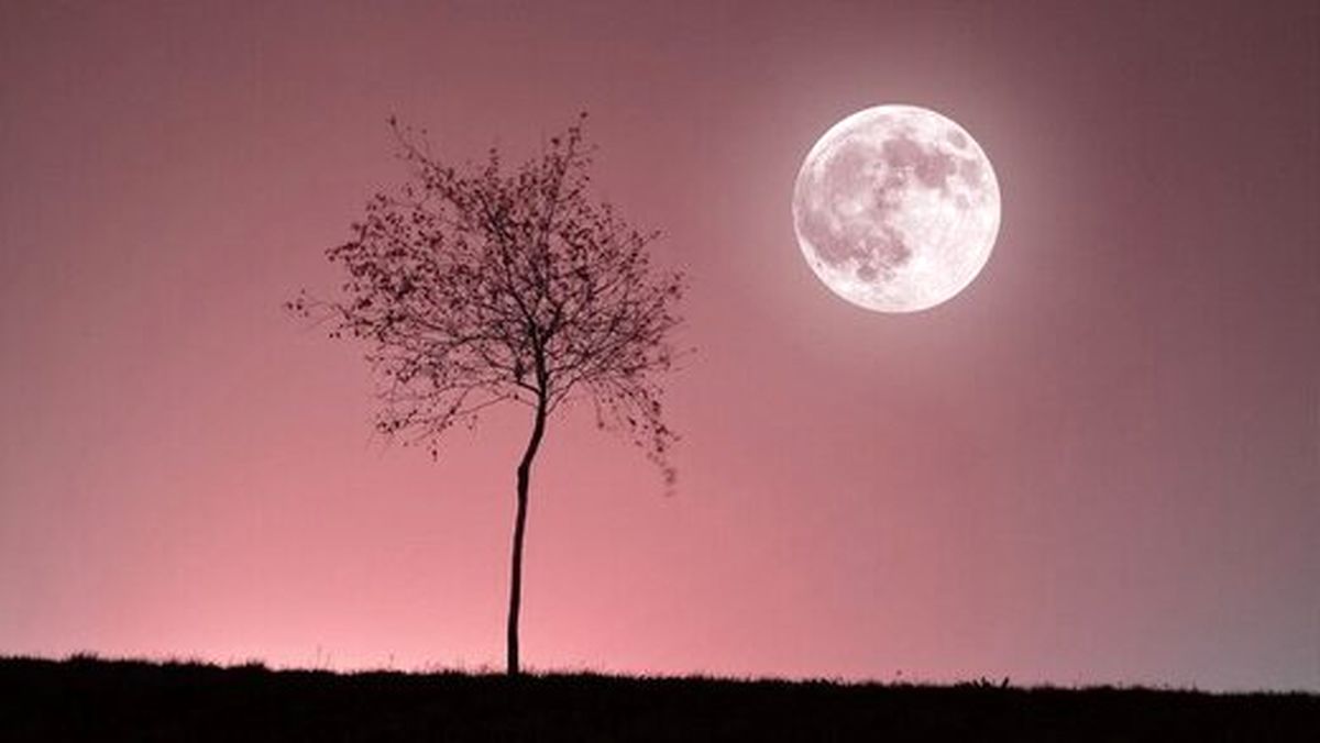 امشب «ماه صورتی» را در آسمان ببینید
