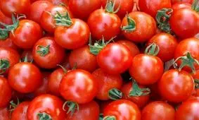 چرا لازم است هر روز یک گوجه بخوریم؟