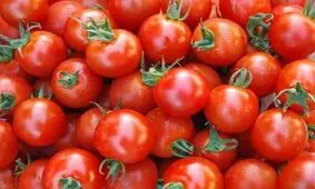 چرا لازم است هر روز یک گوجه بخوریم؟
