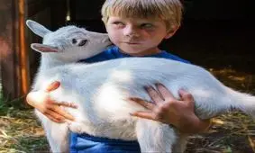 مراقب حرف زدنتان مقابل بزها باشید!