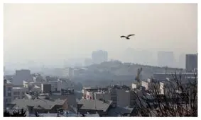 توقیف ساعتی؛ جریمه خودروهایی که وارد طرح زوج و فرد می‌شوند