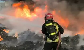 آتش‌سوزی گسترده نخلستان‌های فین در استان هرمزگان مهار شد/ سوختن حدود 800 اصله نخل

