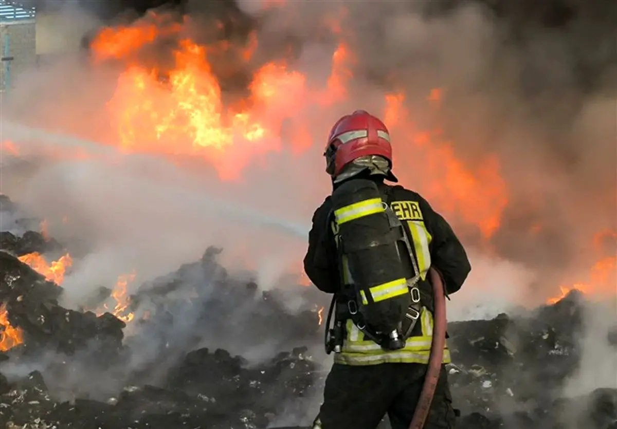 آتش‌سوزی گسترده نخلستان‌های فین در استان هرمزگان مهار شد/ سوختن حدود 800 اصله نخل

