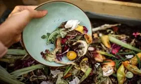 آمار عجیب دورریز سالانه؛ معادل غذای ۱۵ میلیون ایرانی