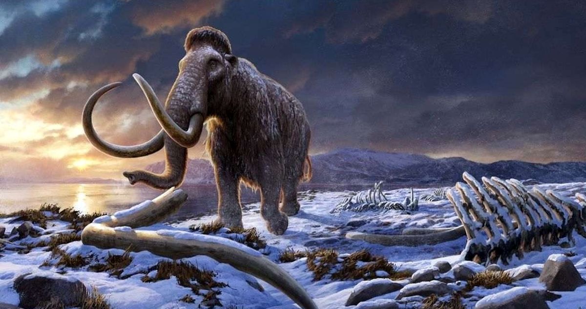 چرا ماموتها منقرض شدند؟