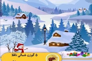 تست بینایی/ 5 گوزن شمالی ناقلا را در تصویر پیدا کنید