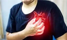 موفقیت زهر عنکبوت در درمان آسیب‌های حمله قلبی!

