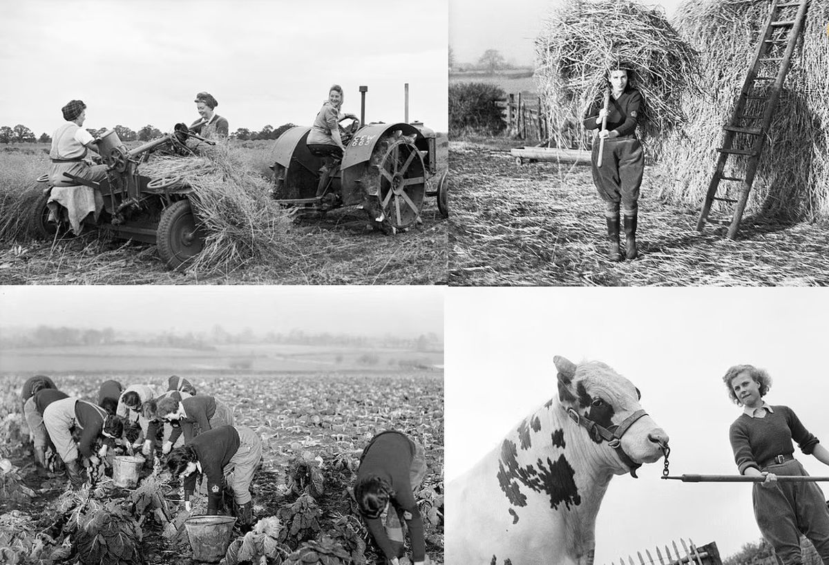 تصاویری جالب از زنان کشاورزی که هیتلر را شکست دادند!
