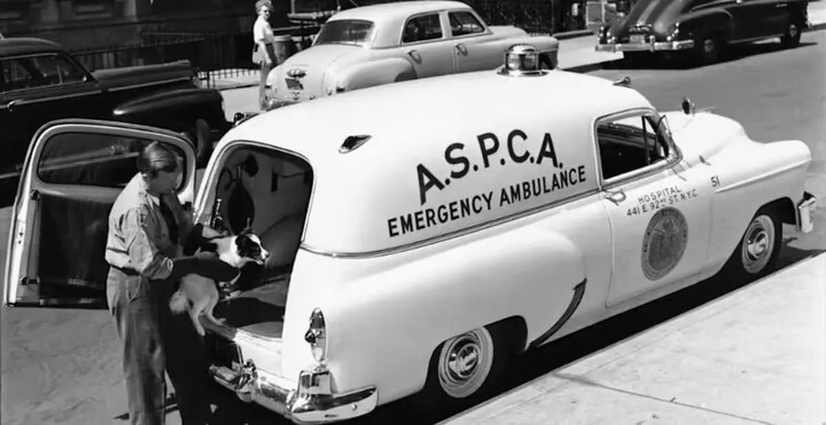 انجمن «پیشگیری از ظلم به حیوانات» در آمریکا تأسیس شد؛ ۲۱ فروردین ۱۲۴۵