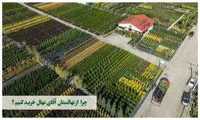خرید نهال از معتبرترین مرکز فروش نهال‌های میوه‌ای