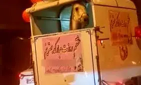 فیلم وایرال شده از هدیه عجیب روز زن 