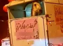 فیلم وایرال شده از هدیه عجیب روز زن 