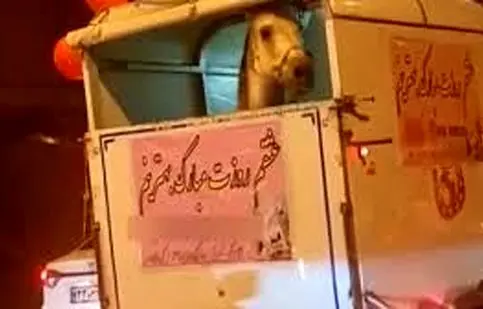 فیلم وایرال شده از هدیه عجیب روز زن 