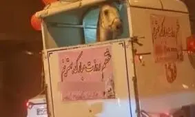 فیلم وایرال شده از هدیه عجیب روز زن 
