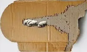 آثار خلاقانۀ هنرمند ایرانی روی بوم‌های غیرمنتظره؛ از مقوا تا اسکاچ 