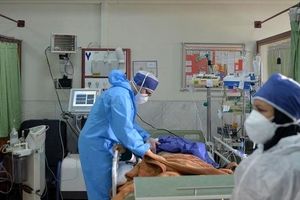 تنها ۷۰۰ بیمار کرونایی در بخش «آ‌ی سی یو» بستری اند