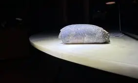 ناسا تأیید کرد: زباله‌ فضایی سقف خانه‌ای در ایالات‌متحده را سوراخ کرده است

