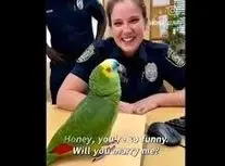 خواستگاری پلیس زن از طوطی/ ویدئو