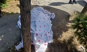 تصادف مرگبار خودروی سواری با 2 کارگر زن در مشهد