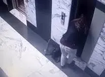  سقوط وحشتناک کودک بازیگوش در چاه آسانسور/ ویدئو