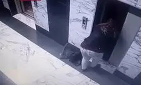  سقوط وحشتناک کودک بازیگوش در چاه آسانسور/ ویدئو