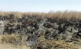 چه سرنوشتی در انتظار هورالعظیم است؟