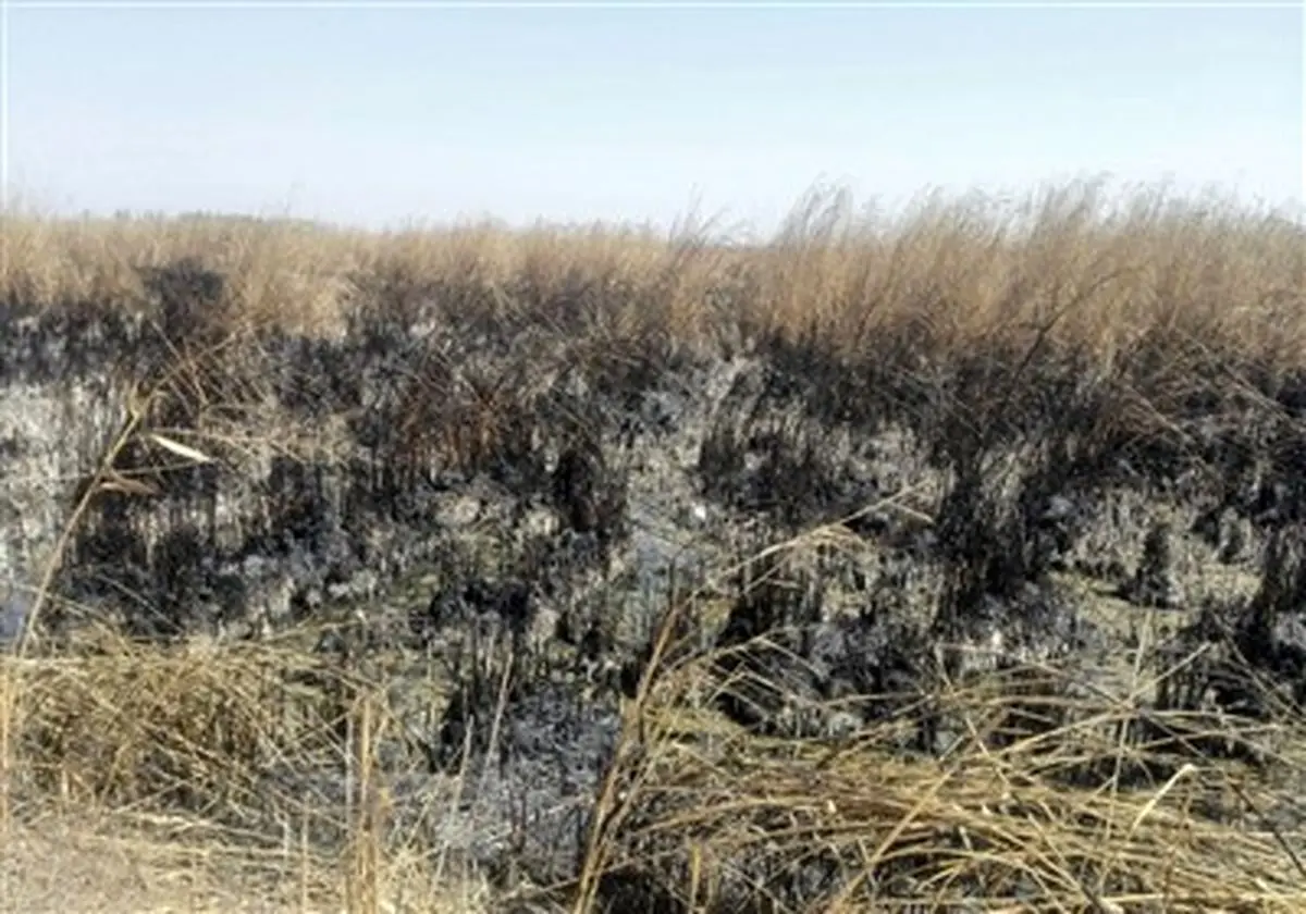 چه سرنوشتی در انتظار هورالعظیم است؟