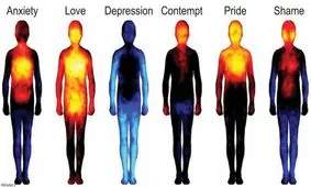 چگونه مزاج افراد را شناسایی کنیم؟