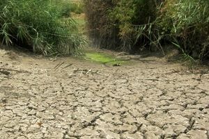 دشت اردبیل در تب بی‌آبی؛ ۱۲۰ میلیون متر مکعب از منابع آبی هدر رفت