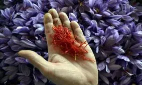 همه چیز در مورد قرارداد آتی زعفران در بورس کالا